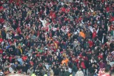 واکنش جالب هواداران پرسپولیس به دو گزینه سرمربیگری داخلی