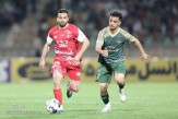 مجتبی فخریان: قیچی‌ام به پرسپولیس اتفاقی نبود/ مهدی رحمتی با بردن پرسپولیس حتی شادی هم نکرد/ دیگر بچه ها نمی توانند بگویند قیچی هایت به درد نمی خورد!