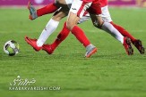 ویدیو| پناه گرفتن عجیب فوتبالیست‌ها در زمین بازی از دست زنبورها