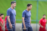 مشکل کارتال میراث هاشمیان؛ سرمربی پرسپولیس خریدهای جدید را کنار می گذارد؟