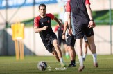 گزارش تصویری| تمرینات پرفشار پرسپولیس ادامه دارد