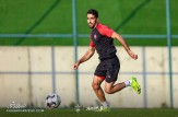 شوک ۵۰ میلیاردی به پرسپولیس؛ فسخ قرارداد وحید امیری!