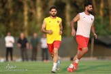 نگرانی در پرسپولیس؛ غیبت محمد عمری در تمرین گروهی!