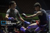 مسابقات لیگ جوانان MMA