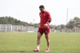 امیدواری هاشمیان به بازیکن مورد علاقه هواداران پرسپولیس